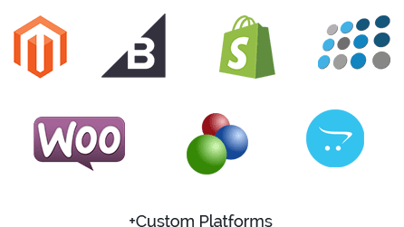 ecommerce seo for all platforms